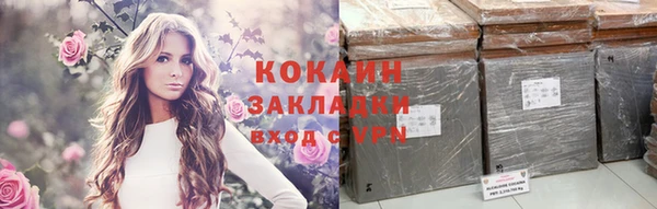 молекула духа Арсеньев