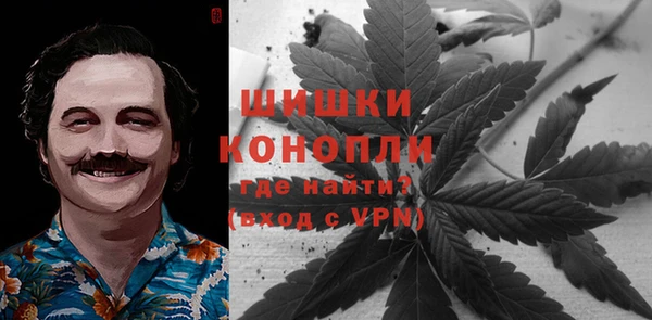 молекула духа Арсеньев